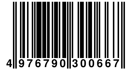 4 976790 300667