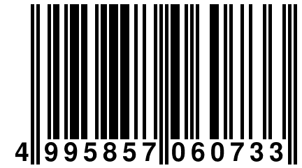 4 995857 060733