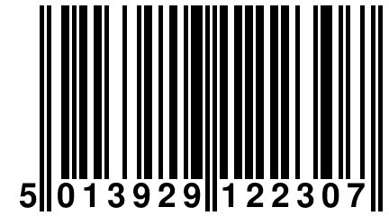 5 013929 122307