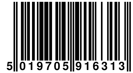 5 019705 916313