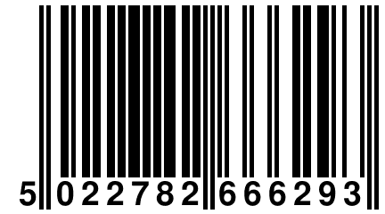 5 022782 666293