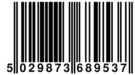 5 029873 689537