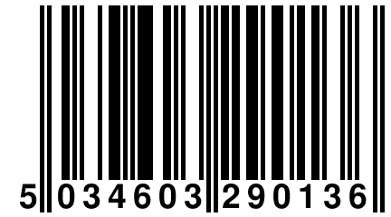 5 034603 290136