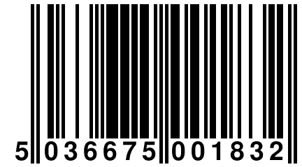 5 036675 001832