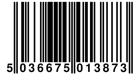 5 036675 013873