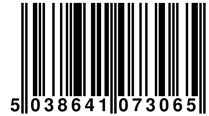 5 038641 073065