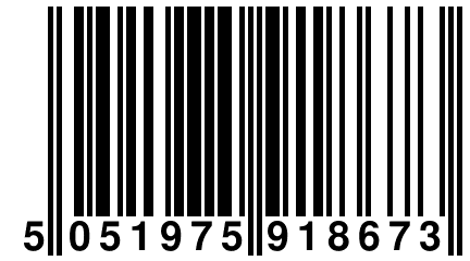 5 051975 918673