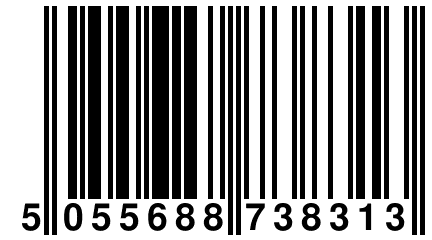 5 055688 738313