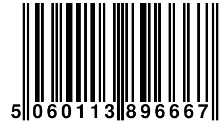 5 060113 896667