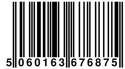 5 060163 676875