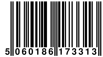 5 060186 173313