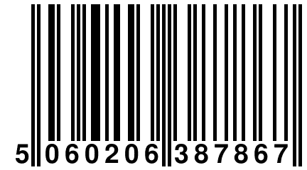 5 060206 387867