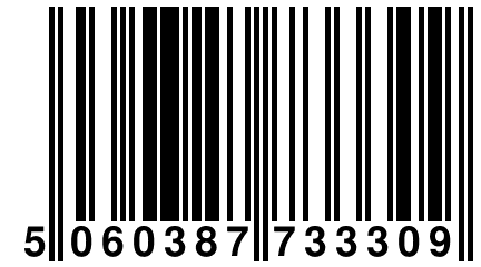 5 060387 733309