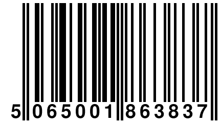 5 065001 863837