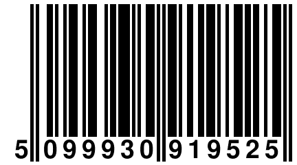 5 099930 919525