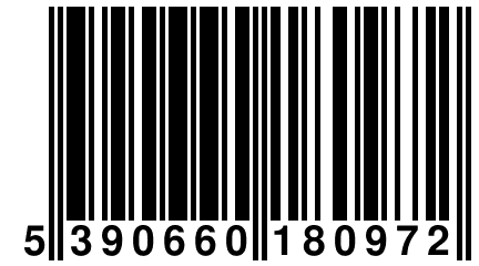 5 390660 180972