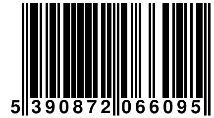 5 390872 066095