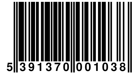 5 391370 001038