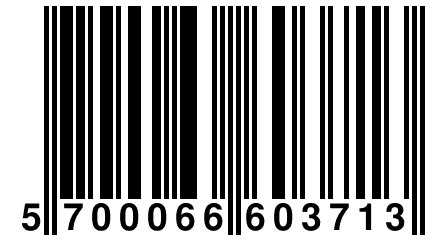 5 700066 603713