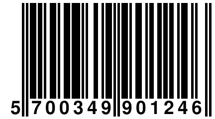 5 700349 901246