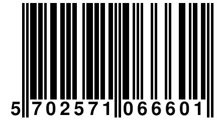 5 702571 066601