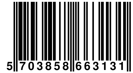 5 703858 663131