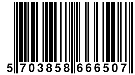 5 703858 666507