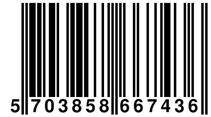 5 703858 667436