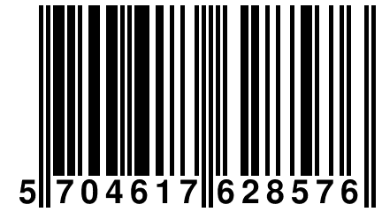 5 704617 628576