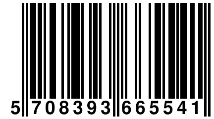 5 708393 665541