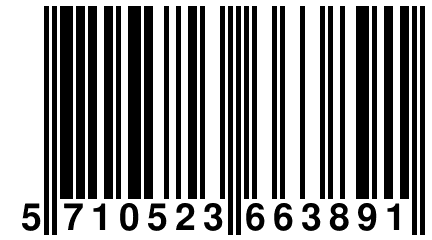 5 710523 663891