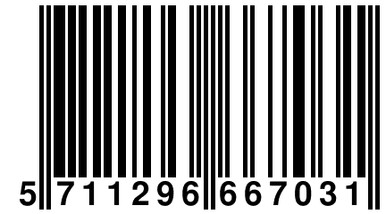 5 711296 667031