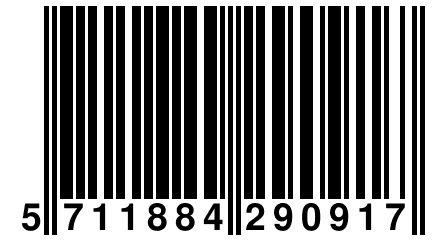 5 711884 290917