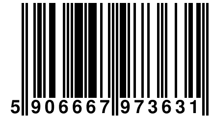 5 906667 973631