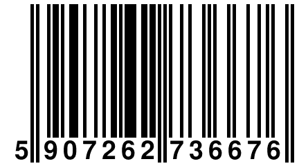 5 907262 736676