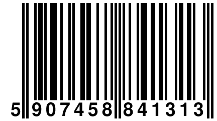 5 907458 841313