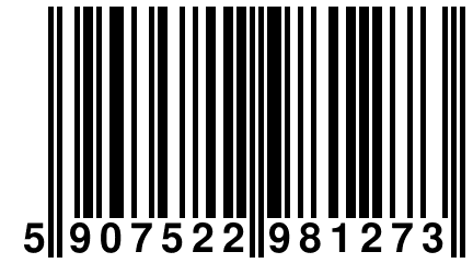 5 907522 981273