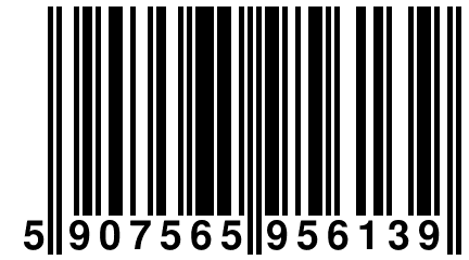 5 907565 956139