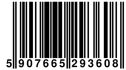 5 907665 293608