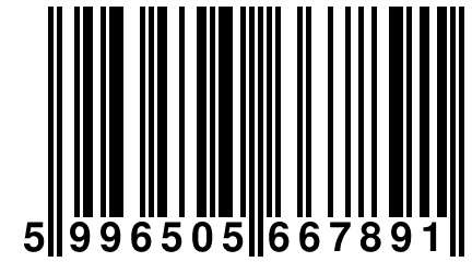 5 996505 667891