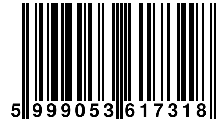 5 999053 617318