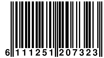 6 111251 207323