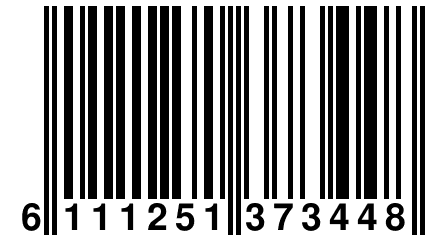 6 111251 373448