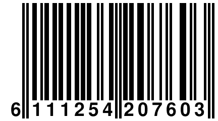 6 111254 207603