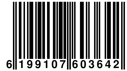 6 199107 603642