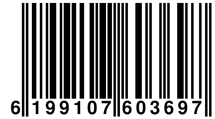 6 199107 603697