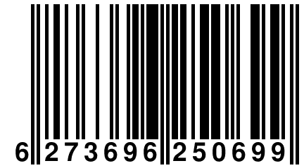 6 273696 250699