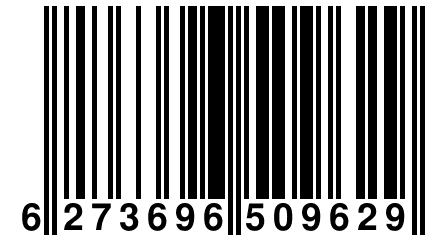 6 273696 509629