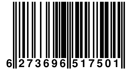 6 273696 517501