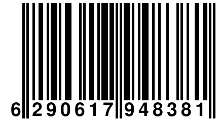 6 290617 948381